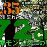 奥多摩湖小菅川流れ込みルアー釣り70モンスターに強襲されるNo,35