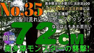 奥多摩湖小菅川流れ込みルアー釣り70モンスターに強襲されるNo,35