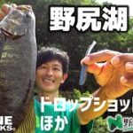 7月の野尻湖バス釣り！虫ルアー、ライトキャロ、ダウンショットでスモールマウスバス1本づつ…バラシが多かった日