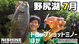 7月の野尻湖バス釣り！虫ルアー、ライトキャロ、ダウンショットでスモールマウスバス1本づつ…バラシが多かった日