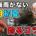 【バス釣り】7月初夏の攻略方法と考え方!!アフタースポーン（産卵後）の釣り方や釣れる時期やルアーワームの狙うポイントも徹底解説!!【アーリーサマー】【2022年最新情報】【乾梅雨】【野池・ダム・川】