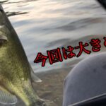 放流情報！！河口湖バス釣り〜7月25日湖月前編【河口湖バス釣り】【放流場所】