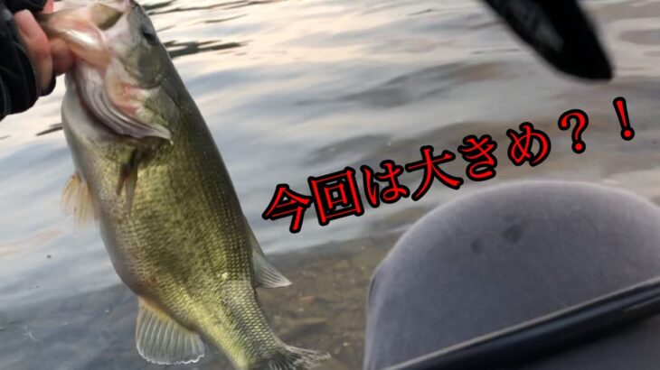 放流情報！！河口湖バス釣り〜7月25日湖月前編【河口湖バス釣り】【放流場所】