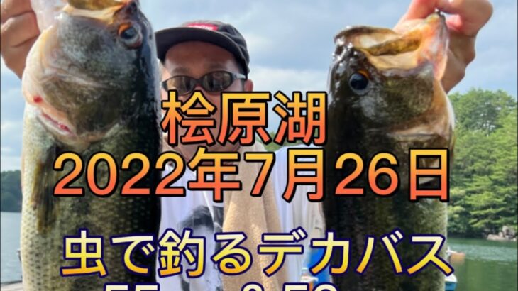 桧原湖 7月26日火曜日 爆釣王岡田さん2日目も虫でデカバス！