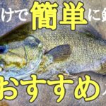 これからの時期、投げて巻くだけで簡単に釣れるルアー教えます【スモールマウスバス】【川スモール】【初心者】【オススメルアー】【7月】【8月】