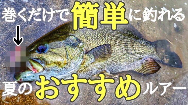 これからの時期、投げて巻くだけで簡単に釣れるルアー教えます【スモールマウスバス】【川スモール】【初心者】【オススメルアー】【7月】【8月】