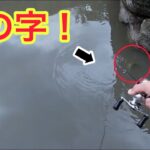 【バス釣り】雨で濁った府中湖でクランクベイトを8の字させると…