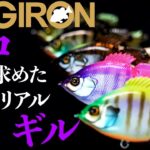 【バス釣り】ロコが求めた！ベビーギロンARカスタムを解説。 渡辺睦/小林力也