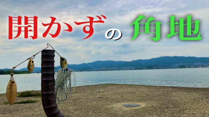 人工島 開かずの角地 【琵琶湖バス釣り】#琵琶湖バス釣り #バス釣り #沈み蟲 #アベンタクローラー #Bカスタム