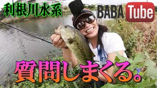 BABATube【釣リグルイ】一日中質問し続けてみた。