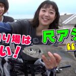 GO!GO!九ちゃんフィッシング #485　「カゴ釣りで狙う新潟のギガアジ！ 直江津第3東防波堤 Part.1」