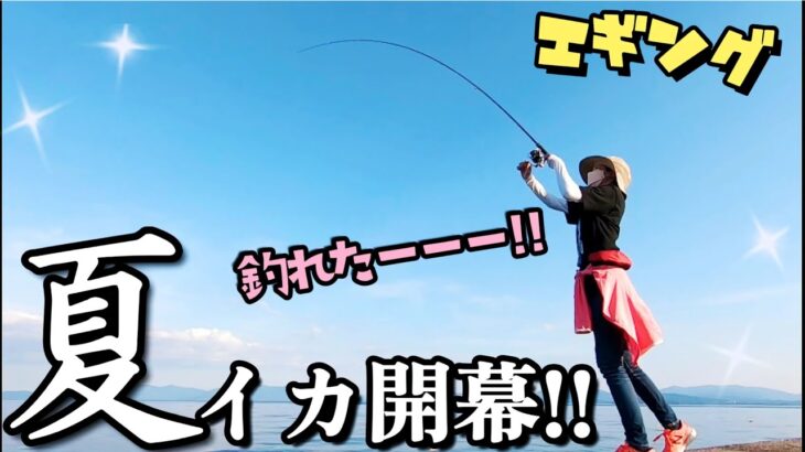 【エギング】夏イカ開幕！HITエギがボロボロに・・・アオリイカ&ケンサキイカ　Fishing in the Japanese sea [Fishing Girl Mikan]