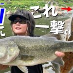 コレどこでも釣れる！完全に今年の当たりルアーだ！【Hurry Slide】