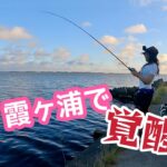 【無双】JACKALL馬場拓さんと行く霞ヶ浦大遠征(後編)