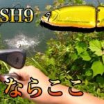 【KLASH9】初夏のアフターバス攻略!!○○を狙え!!【バス釣り】