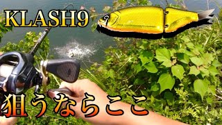 【KLASH9】初夏のアフターバス攻略!!○○を狙え!!【バス釣り】