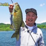 風が吹けばチャンス到来!?L-BASSで楽しむ夏の桧原湖！｜ムラユウでこざいバス。村川勇介(1213)