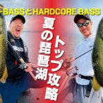 L-BASSとHARDCORE BASSで夏の琵琶湖トップウォーター攻略！(1211)