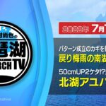 【平村尚也の琵琶湖リサーチTV-2022-07-15配信】戻り梅雨の南湖はパターン定まらず…カギを握るのは放流量／50cmUP2ケタ!?絶好調の北湖アユパターンを紹介