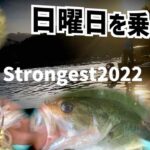 【バス釣り】激混み日曜日の亀山湖、釣れるルアーはこれだ！【The・Strongest第2戦参戦記】