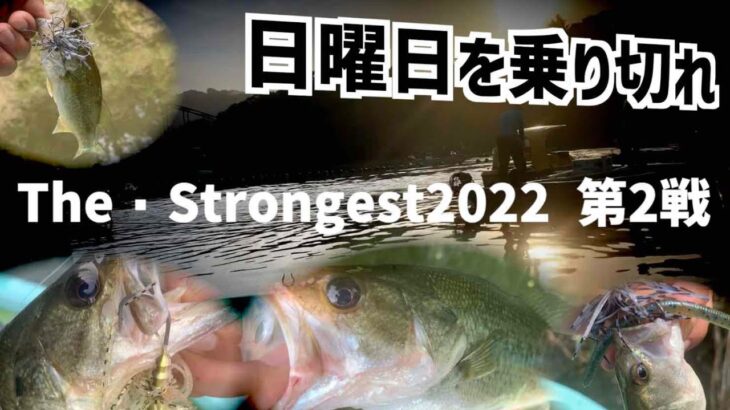 【バス釣り】激混み日曜日の亀山湖、釣れるルアーはこれだ！【The・Strongest第2戦参戦記】