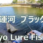 東京ルアー釣り、運河 ブラックバス 花畑運河 (Tokyo Lure Fishing, Bass, 黑鱸, Canal)