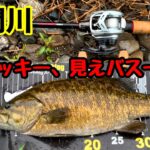 【入間川バス釣り】４０UPの見えスモール発見！サイトフィッシング炸裂！！