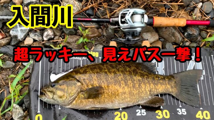 【入間川バス釣り】４０UPの見えスモール発見！サイトフィッシング炸裂！！