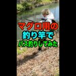 マグロ用の竿でバス釣りに挑んだ男の物語  / フルバージョンはYouTube本編で見てください！！！#ShokurosFishing #ショークロー#バス釣り #釣り #Shorts