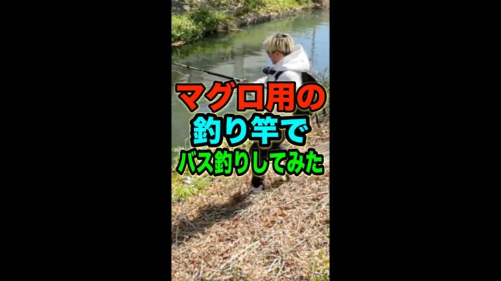 マグロ用の竿でバス釣りに挑んだ男の物語  / フルバージョンはYouTube本編で見てください！！！#ShokurosFishing #ショークロー#バス釣り #釣り #Shorts