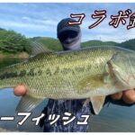 【コラボ】ここ有名な心霊スポットやってマジかよ【bbチャンネル】