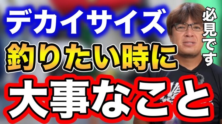 【※シーバス釣り必見※】デカいサイズを釣りたい時に大事なこと！！【fishing 村岡昌憲 切り抜き 釣り シーバス 】