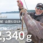 [エギング]大型アオリイカの捕獲の要点を完全解説！山田ヒロヒト in 和歌山県南紀