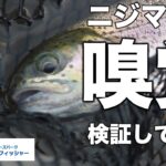 【ニジマスの嗅覚を検証】エサの匂いをルアーにつけたらどうなるの？inキングフィッシャー