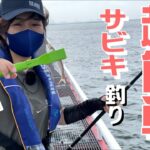 【サビキ釣り】誰でも超カンタン！ in尼崎市立魚つり公園