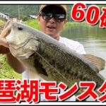 【史上最高】琵琶湖のモンスター級ブラックバスが釣れました！#shorts