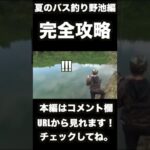 夏の野池バス釣り完全攻略ショート動画 #shorts