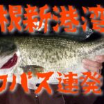 【バス釣り】彦根新港湾（彦根新港）でデカバス連発‼️