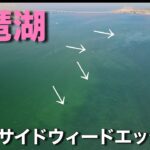 （アウトサイドウィードエッジ状況）琵琶湖バス釣り　木浜エリア周辺　空撮ウィード状況　南湖　２０２２．７