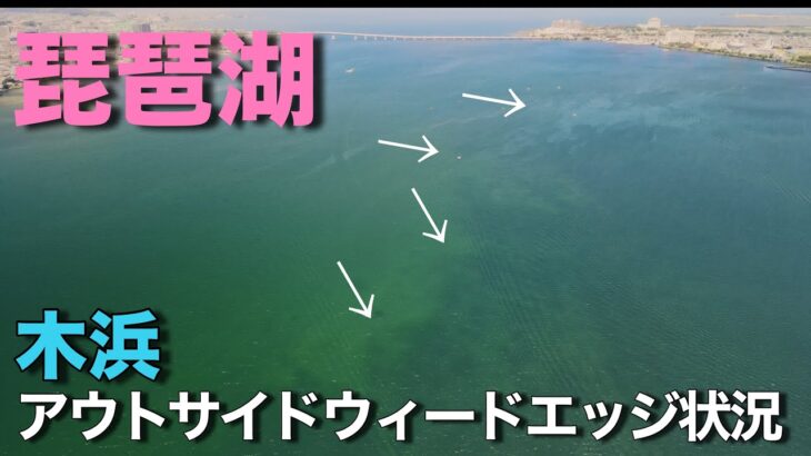 （アウトサイドウィードエッジ状況）琵琶湖バス釣り　木浜エリア周辺　空撮ウィード状況　南湖　２０２２．７