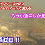 違和感ゼロ、もう小魚にしか見えない　まさにベイトパターンで使える【バス釣り】