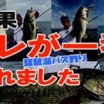 結果、コレが一番釣れました【琵琶湖バス釣り】