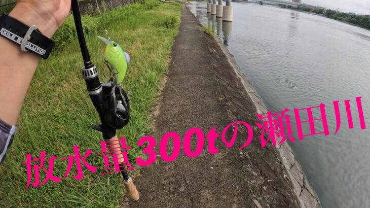 【バス釣り】雨の日が多い今週色々してみた　琵琶湖　瀬田川