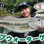 【ジョイクローラー】この釣り、楽しすぎる…【バイトシーンあり】