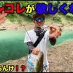 【バス釣り】夏のバスフィッシングを楽しませてくれるルアーを発見した！