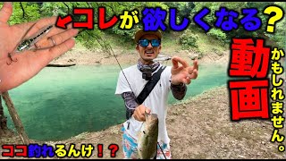 【バス釣り】夏のバスフィッシングを楽しませてくれるルアーを発見した！