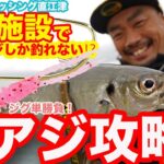 【アジング】釣り施設で簡単尺アジング～萩原徹