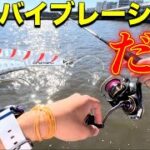 【シーバス釣り】デイゲームのルアー釣り、鉄板バイブレーションだけで河川のシーバスを狙う！#シーバス #釣り #シーバス研究部 #ルアー