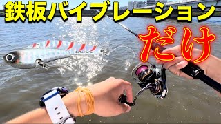 【シーバス釣り】デイゲームのルアー釣り、鉄板バイブレーションだけで河川のシーバスを狙う！#シーバス #釣り #シーバス研究部 #ルアー