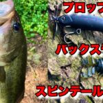 ブレード付きルアーでスレバスを狙ったら簡単に釣れる【スピンテール】【バス釣り】